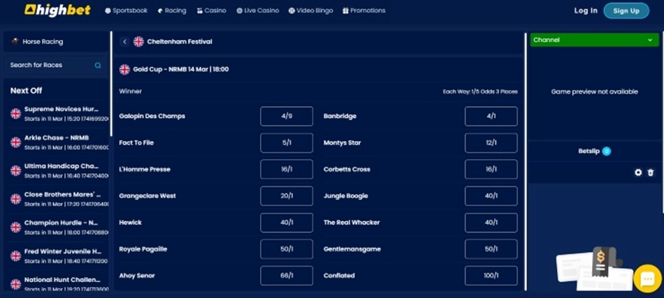 dds at the Cheltenham Festival